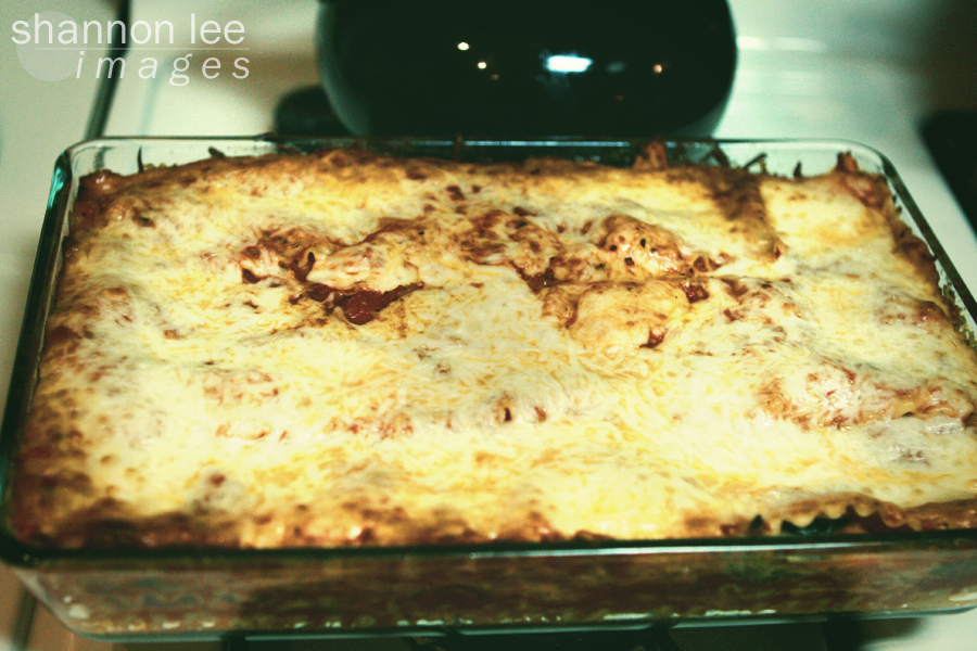 veggie lasagna veggie lasagna