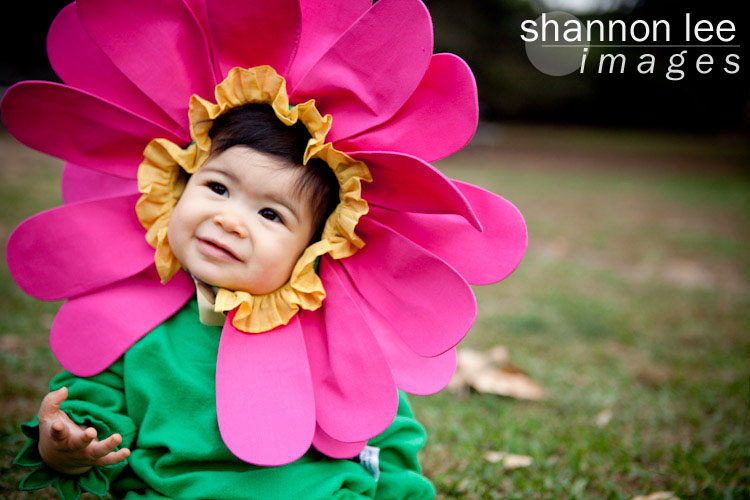 Flower Flower