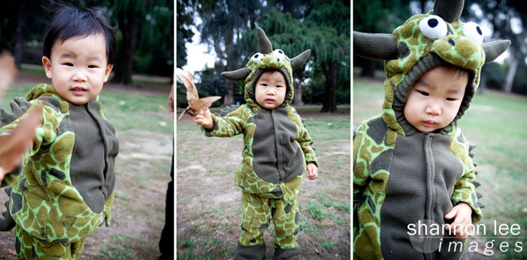 dinosaur dinosaur