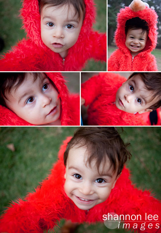 Elmo Elmo