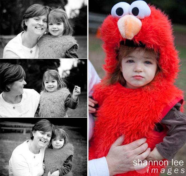 Elmo Elmo