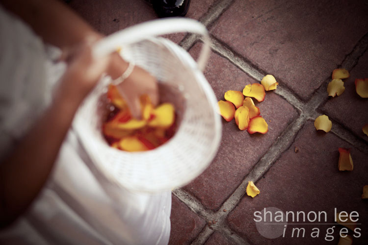 flower petals, westlake village, ca