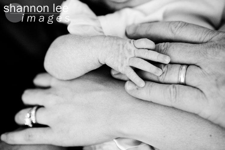 baby hands
