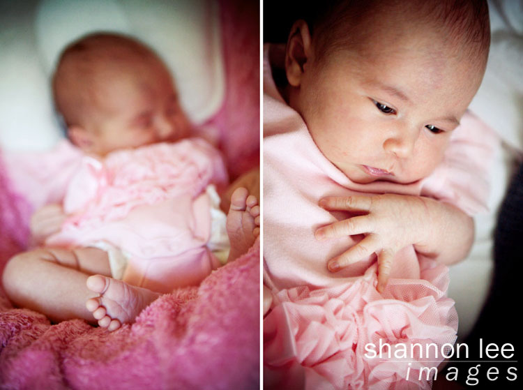 los angeles baby photographer 