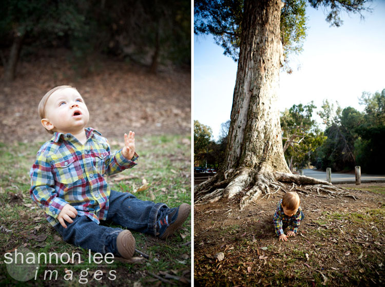 los angeles baby photographer