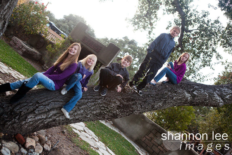 los angeles family portrait