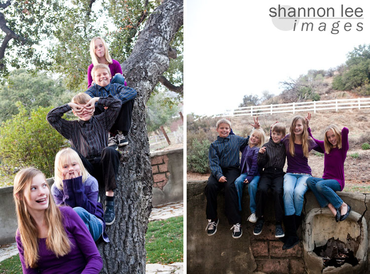 kids in a tree