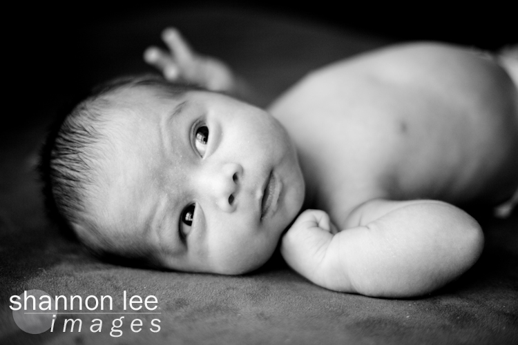 los angeles childrens photographer los angeles childrens photographer