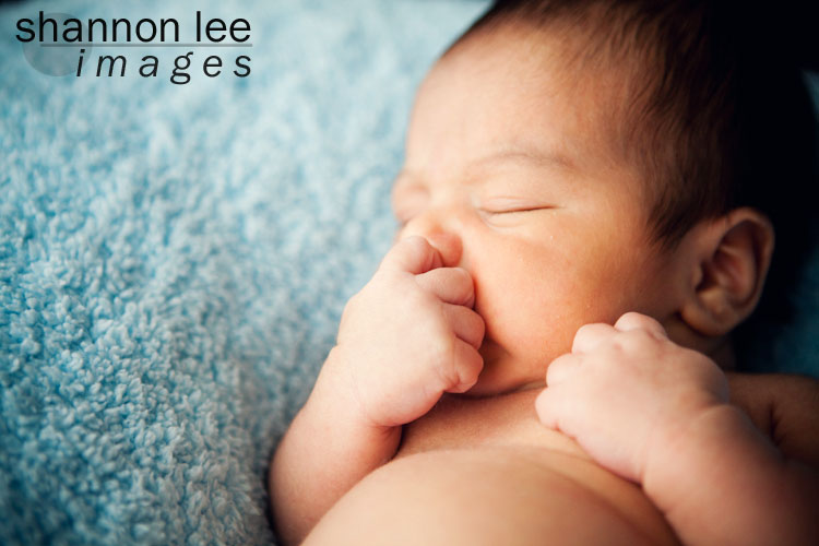 los angeles newborn photographer los angeles newborn photographer