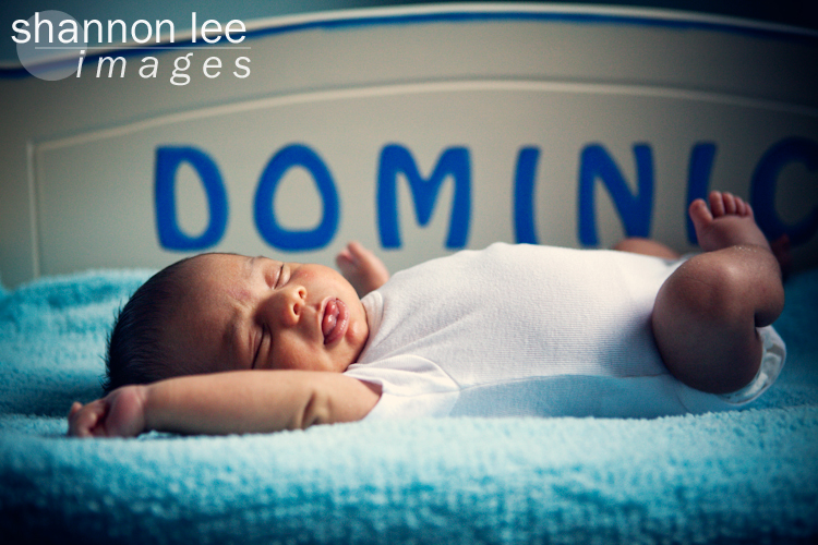 baby dominic baby dominic