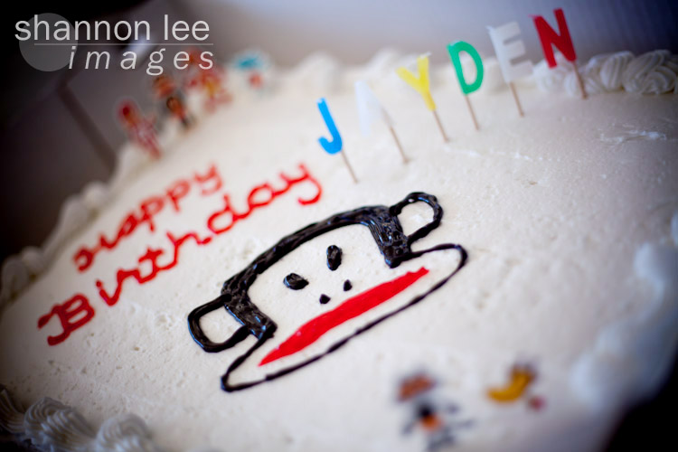 los angeles birthday photographer los angeles birthday photographer