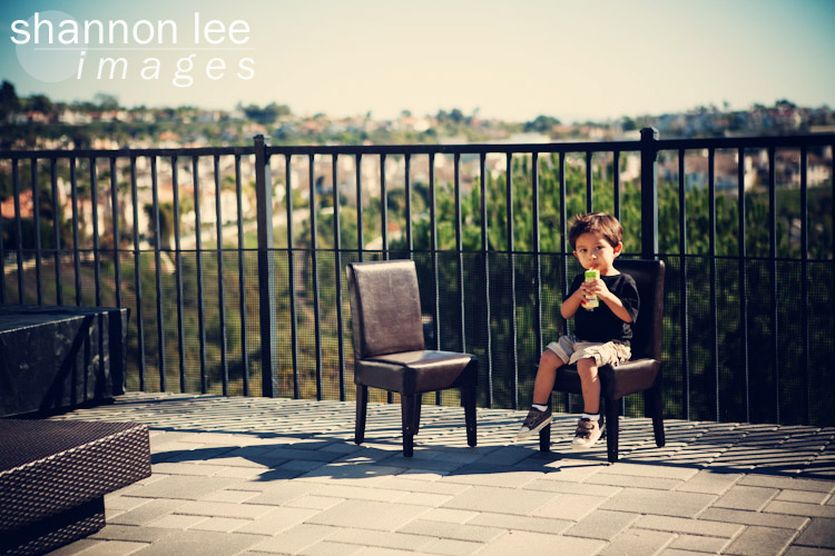 orange county birthday photographer orange county birthday photographer
