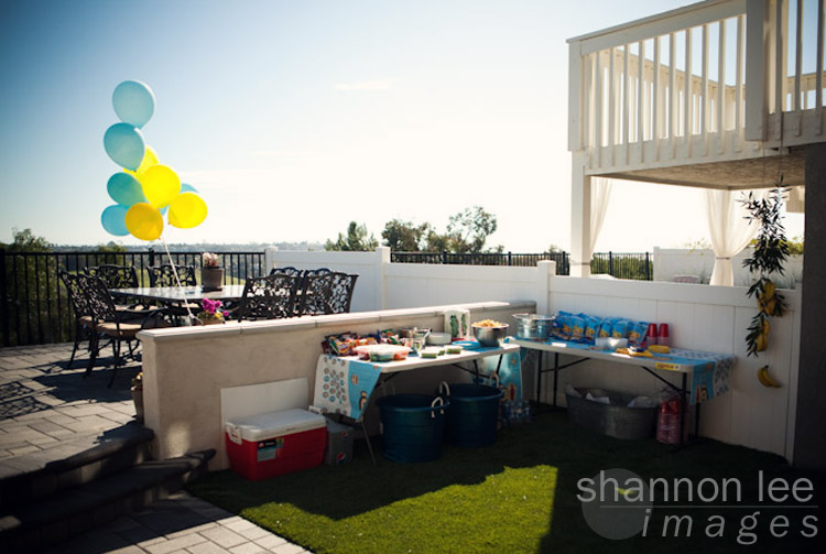 orange county birthday photographer orange county birthday photographer