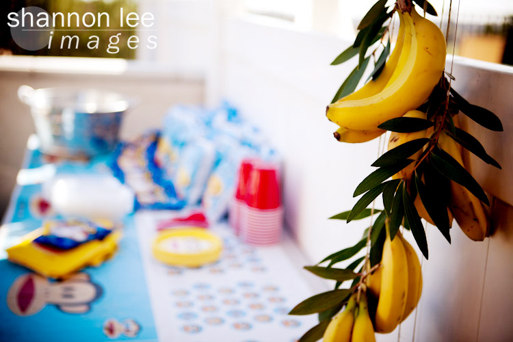 banana tree banana bar