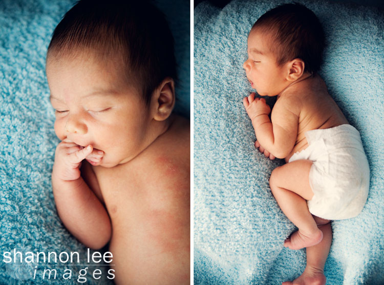 newborn photography newborn photography
