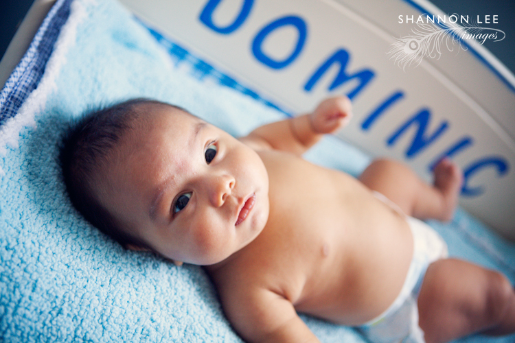baby dominic baby dominic