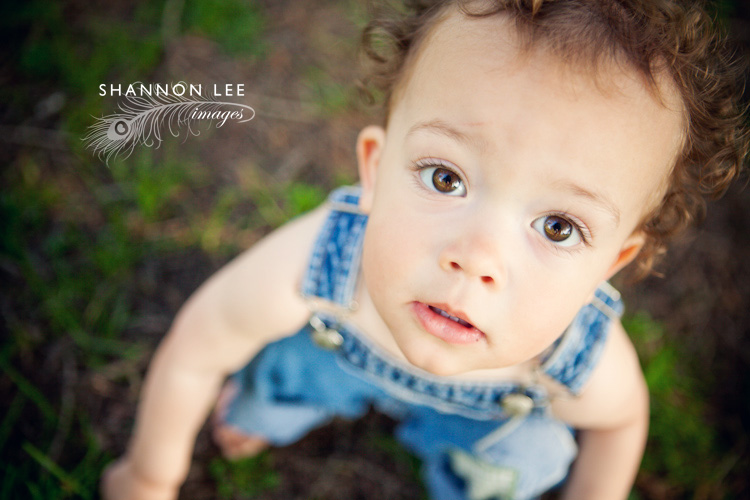 los angeles family photographer