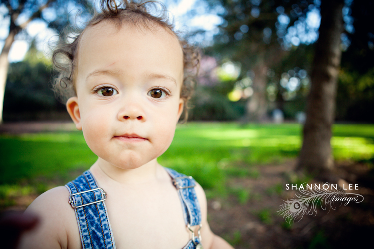 pasadena family photographer