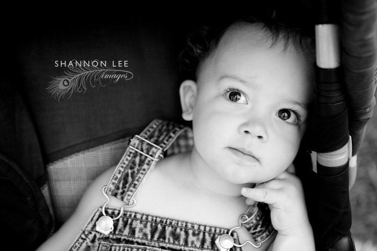pasadena family photographer