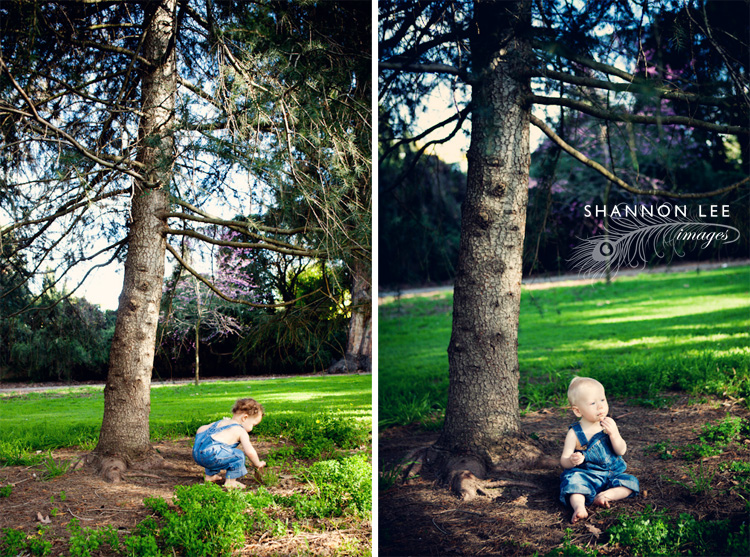 pasadena family photographer