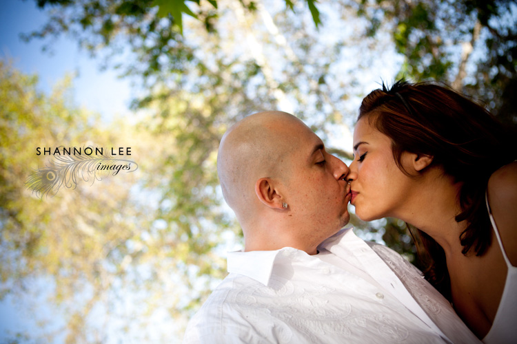 los angeles engagement photography los angeles engagement photography