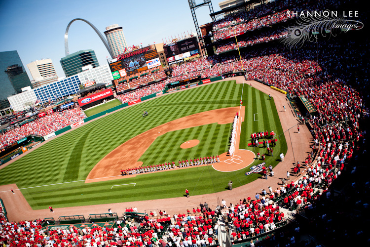 st louis cardinals