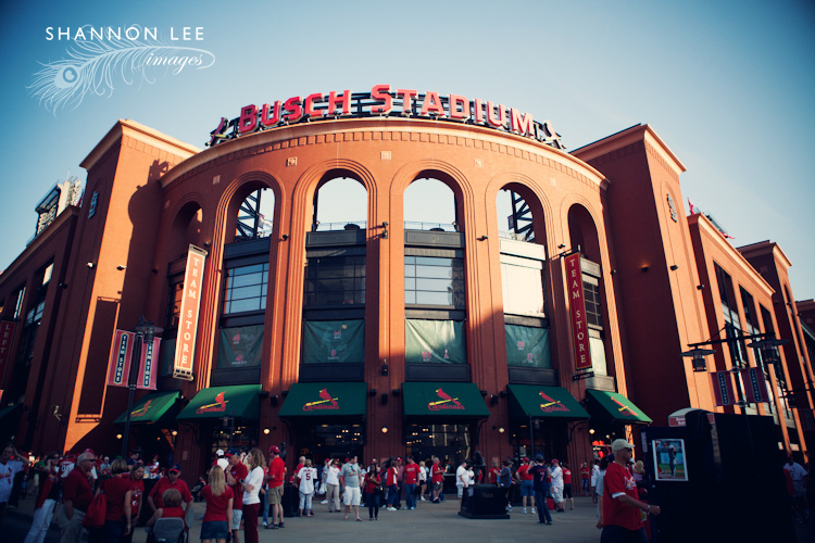 st louis cardinals