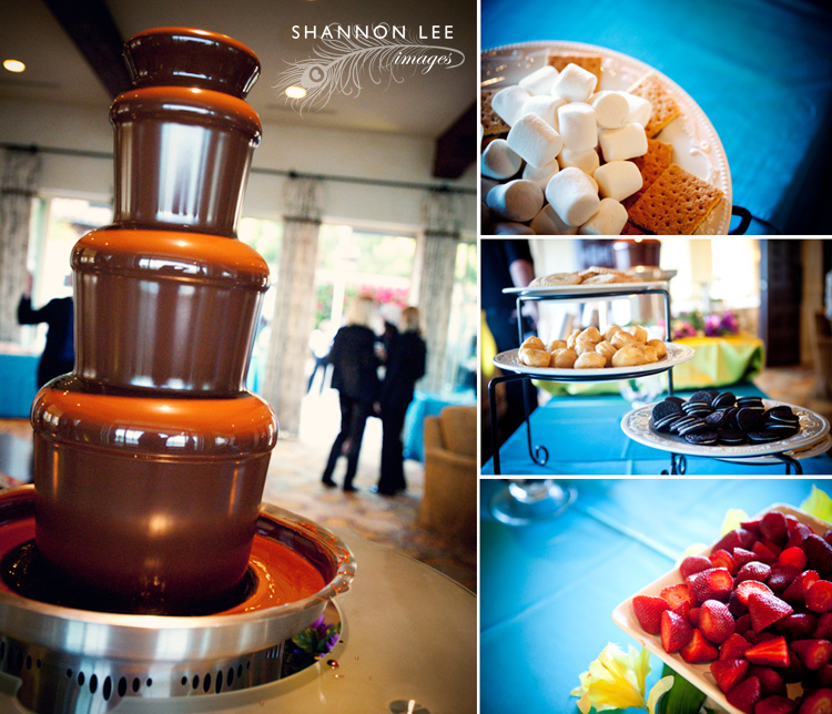 chocolate fountain