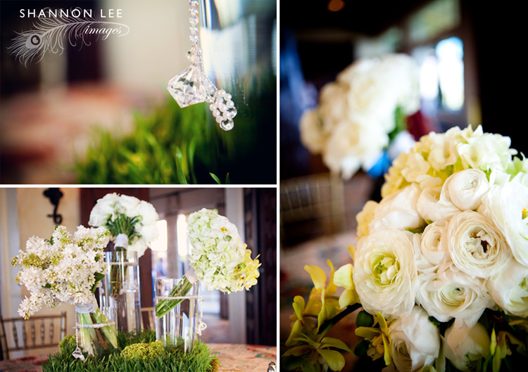 malibu event photography