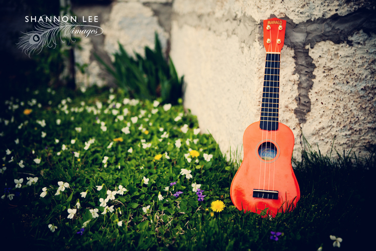 orange uke orange uke