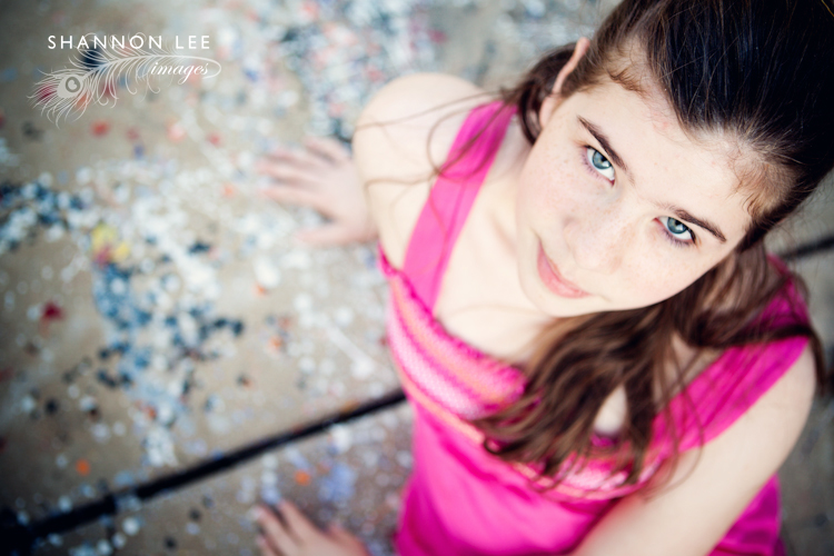 st louis portraits st louis portraits