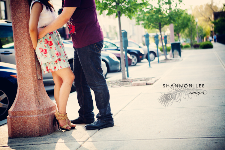st louis engagement session st louis engagement session