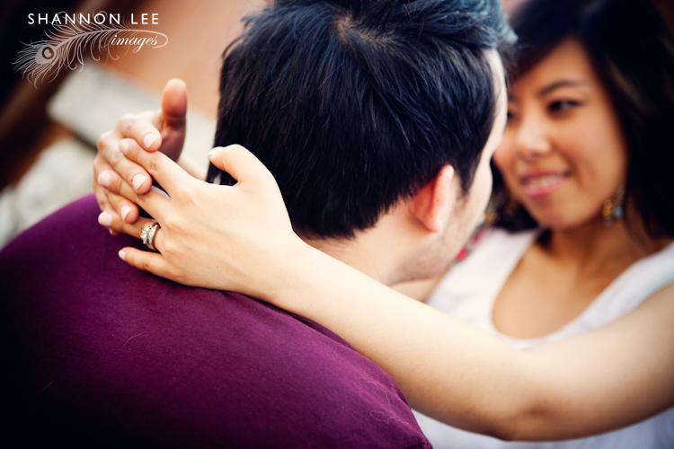 st louis engagement photos st louis engagement photos