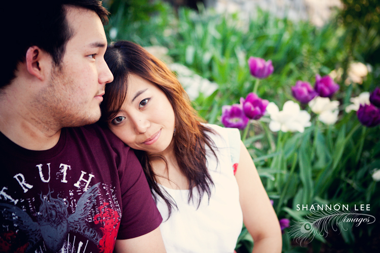 saint louis engagement saint louis engagement