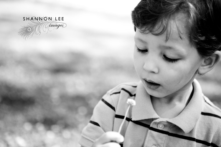 los angeles kid photography los angeles kid photography