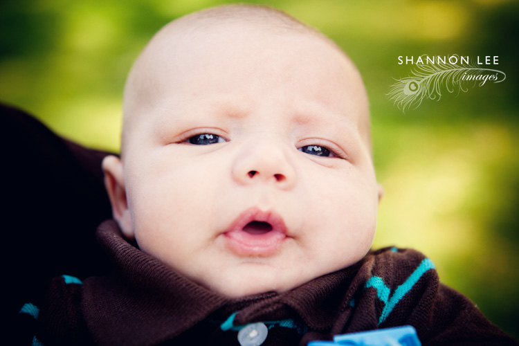 baby photography baby photography