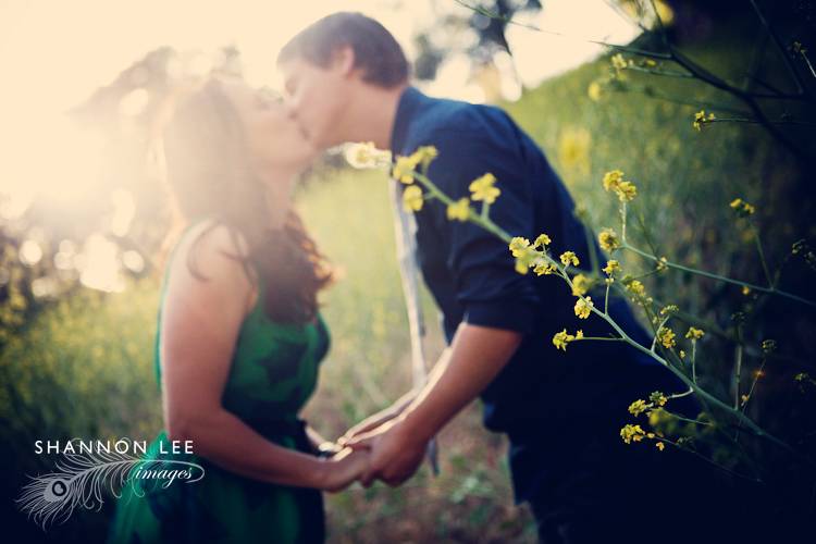 santa clarita engagement photography santa clarita engagement photography