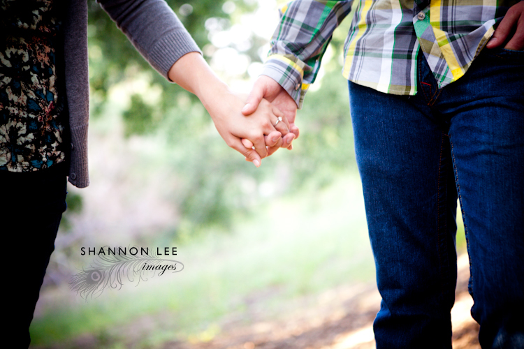 santa clarita engagement photography santa clarita engagement photography