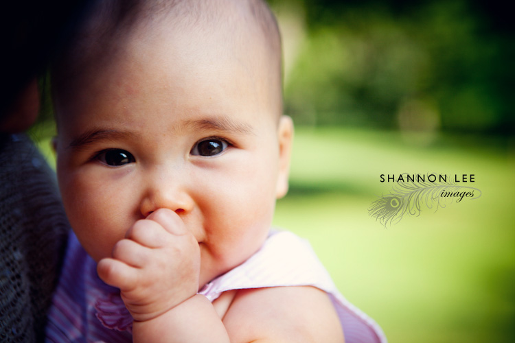 los angeles baby photography los angeles baby photography