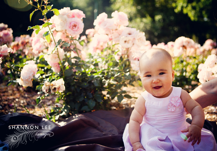 pasadena baby photographer pasadena baby photographer