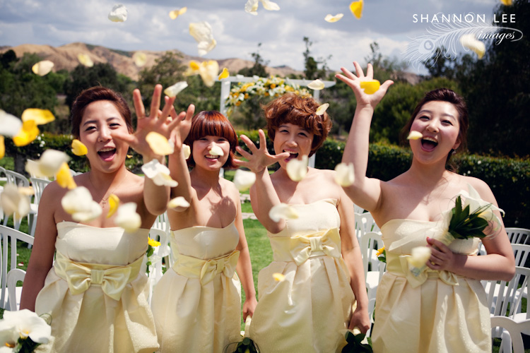 bridesmaids bridesmaids