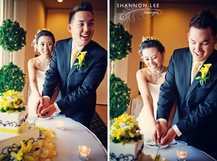 cake cutting cake cutting
