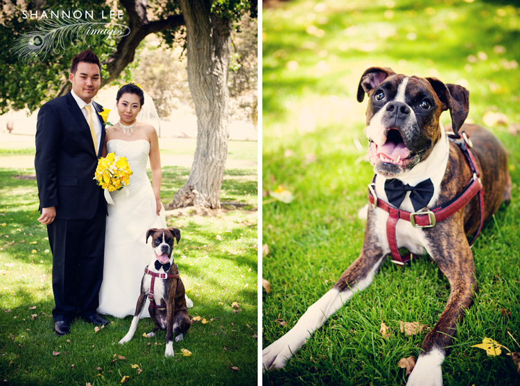 los angeles wedding photographer los angeles wedding photographer