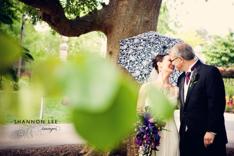 st louis botanical garden wedding st louis botanical garden wedding