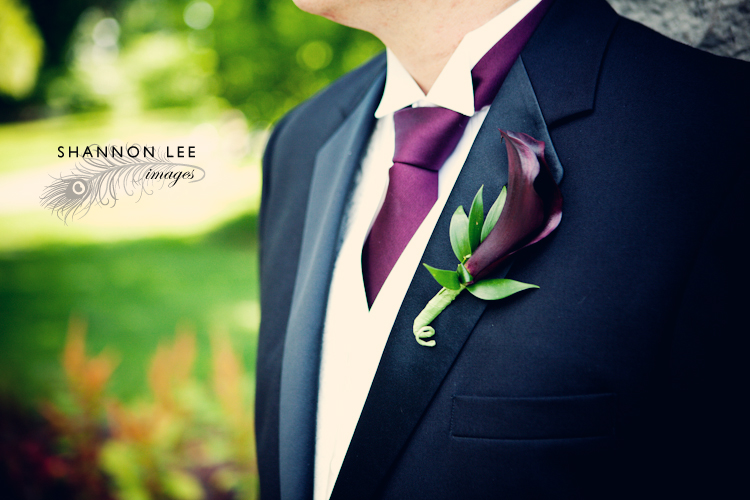 st louis wedding photography st louis wedding photography