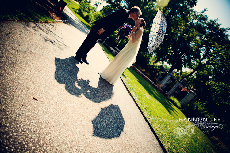 st louis botanical garden weddings st louis botanical garden weddings