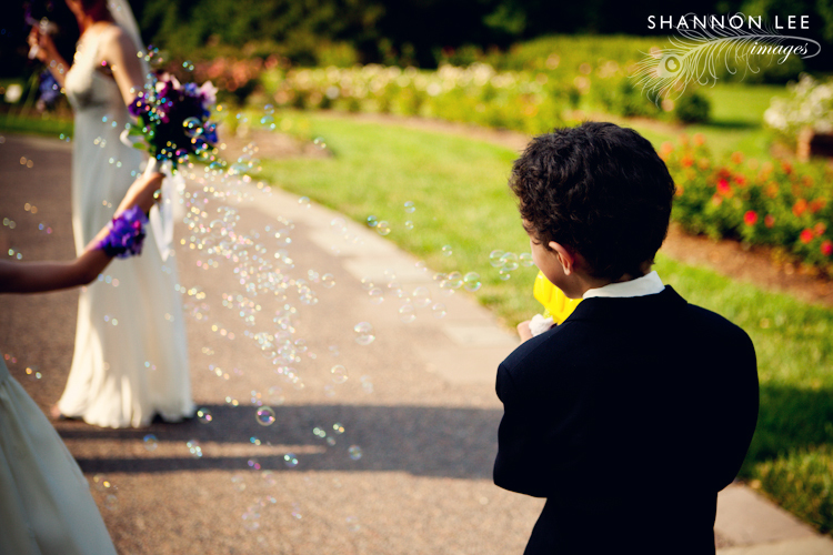 missouri botanical garden wedding missouri botanical garden wedding