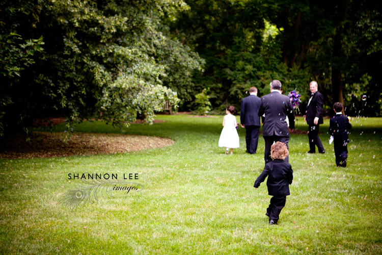 missouri botanical garden wedding missouri botanical garden wedding