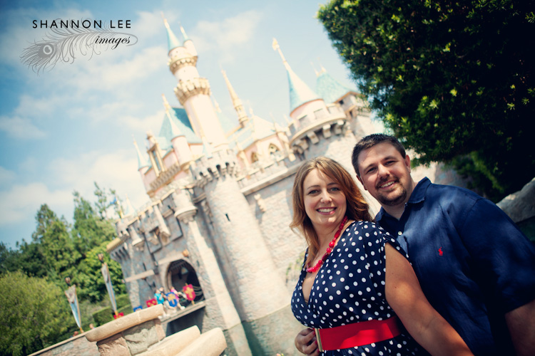 disneyland castle disneyland castle