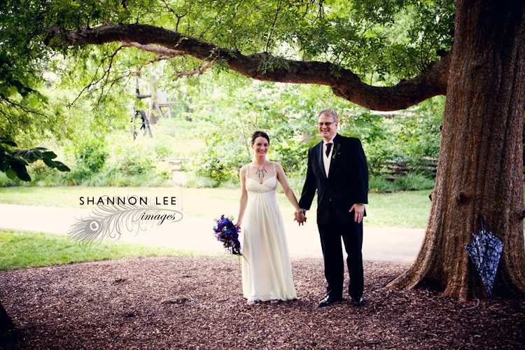 st louis botanical garden wedding st louis botanical garden wedding